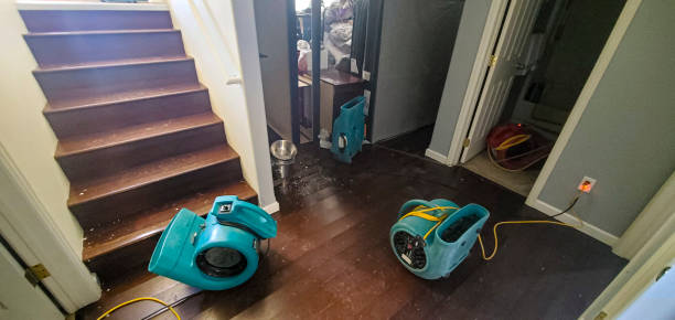 Best Mold removal after water damage  in Girard, PA
