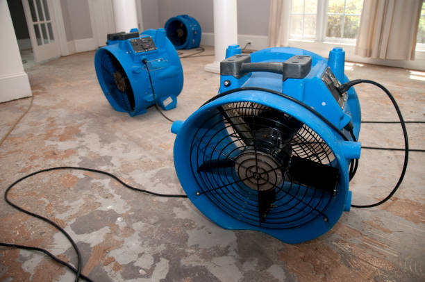 Best Local water damage restoration  in Girard, PA